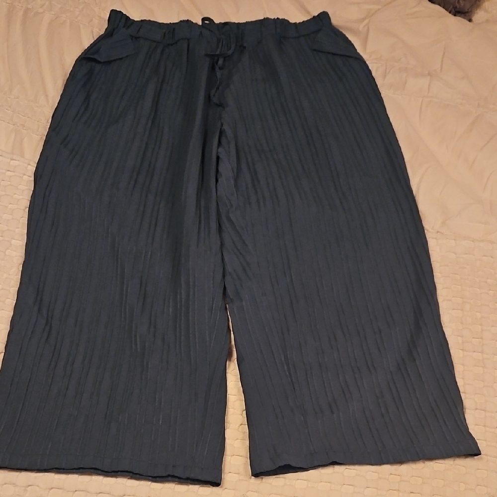 Dark Green Pleated Wide-Leg Pants 2x